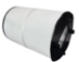 Pentair Sta-Rite PLM200 Replacement Pool Filter Cartridge 27002-0200S FC-0047 - PENPLM200
